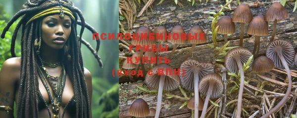 не бодяженный Россошь
