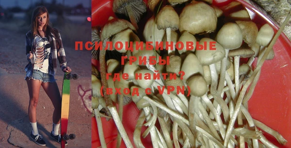 эйфоретик Баксан