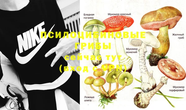 стафф Балабаново