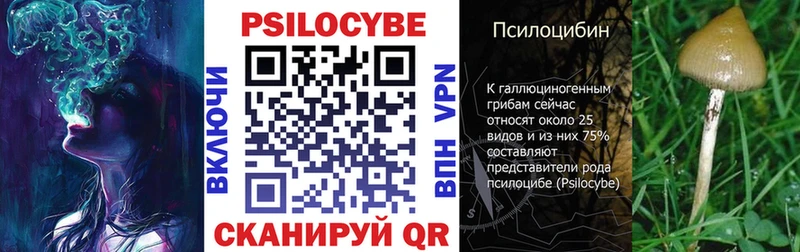 MEGA как зайти Шимановск Псилоцибиновые грибы Psilocybe